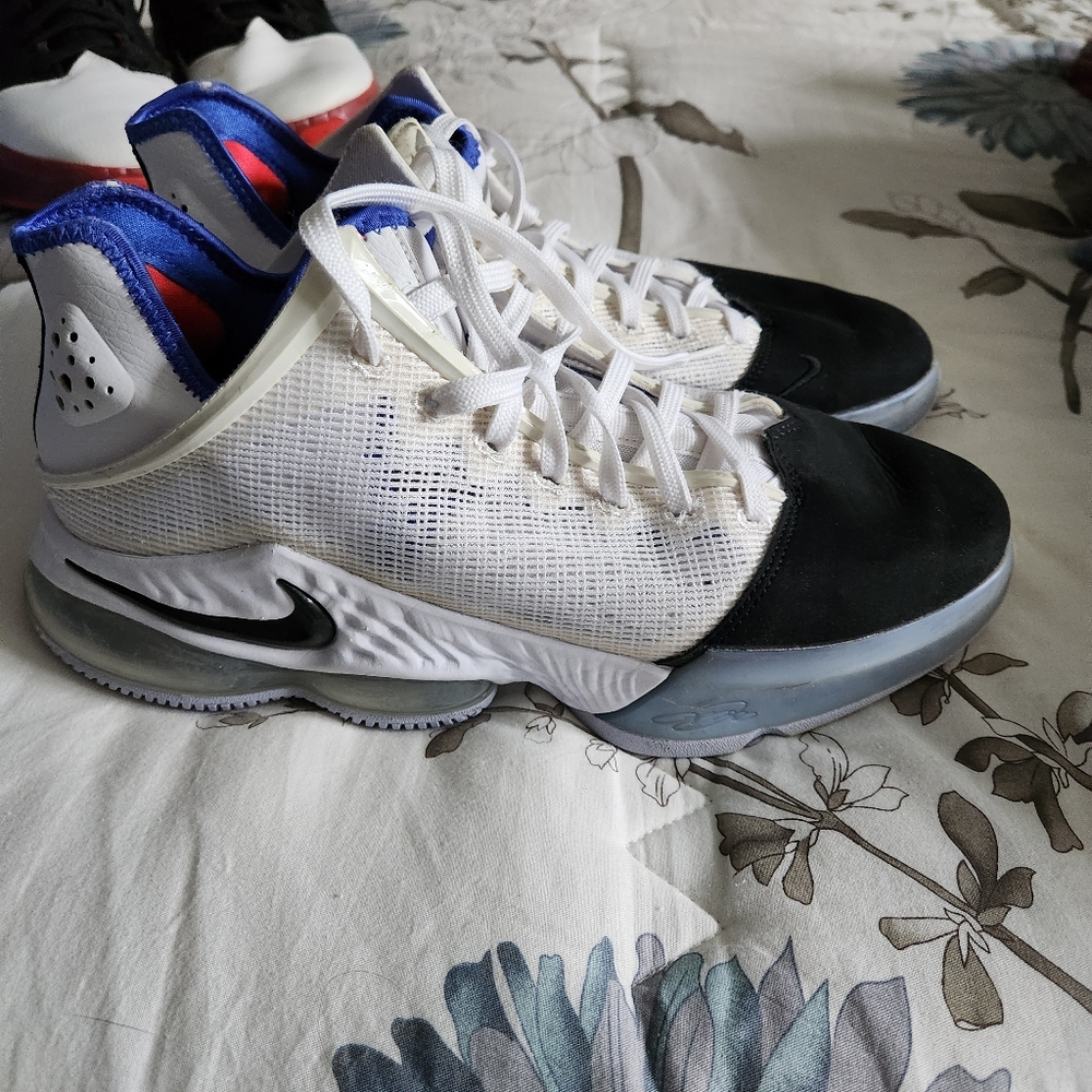 Nike lebron 19 low